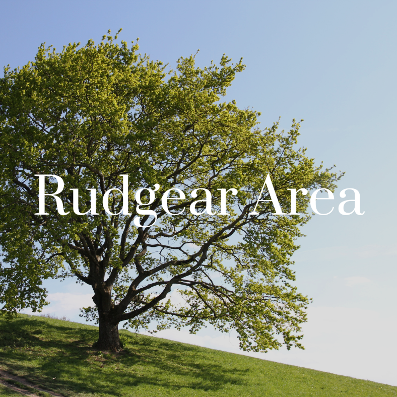 Rudgear- Website (1)
