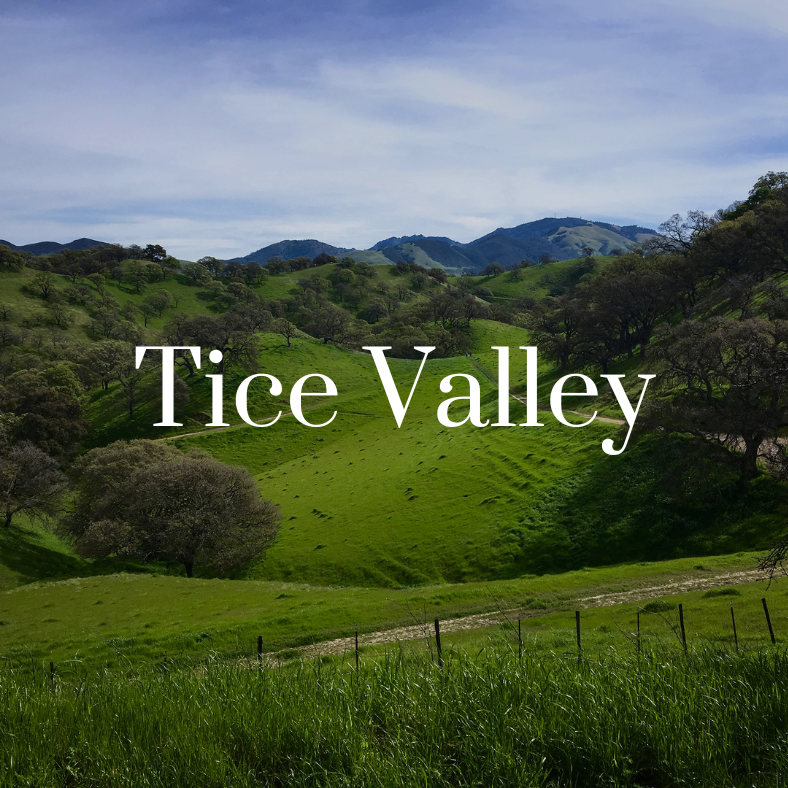 Tice Valley
